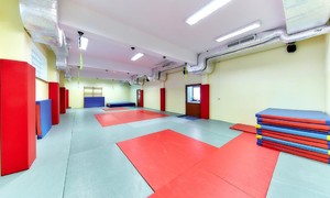 Zdjęcie przedstawia salę judo / salę do akrobatyki